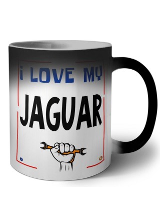 I love my Jaguar