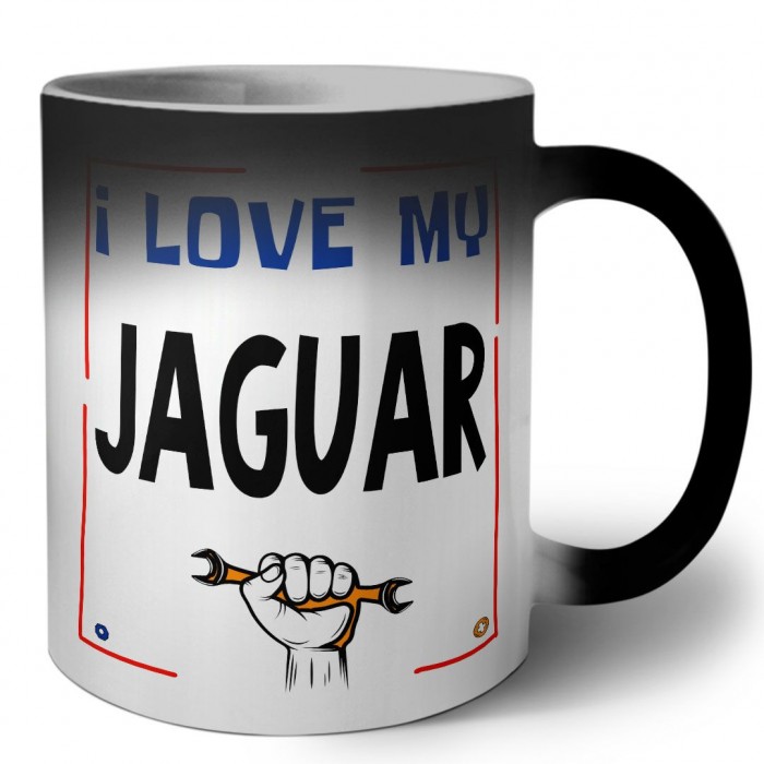 I love my Jaguar