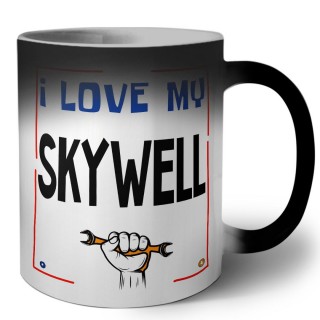 I love my Skywell