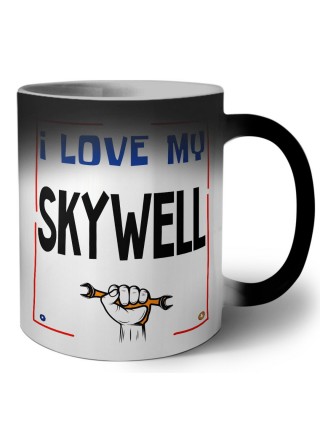 I love my Skywell