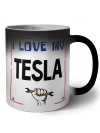 I love my Tesla