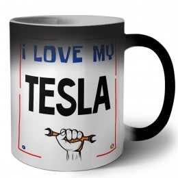 I love my Tesla