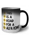 This is a road for a Alfa Romeo
