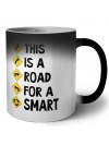 This is a road for a Smart