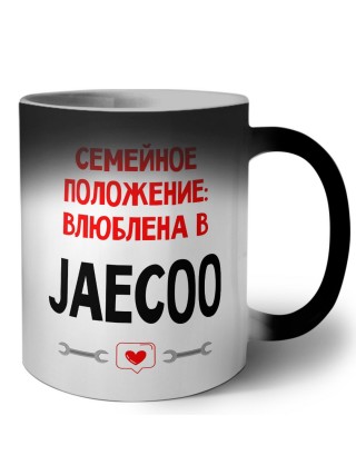 Семейное пололжение - влюблена в Jaecoo
