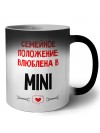 Семейное пололжение - влюблена в Mini