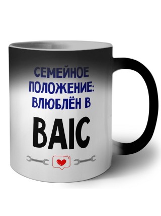 семейной пололжение - влюблен в BAIC
