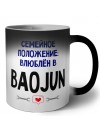 семейной пололжение - влюблен в Baojun