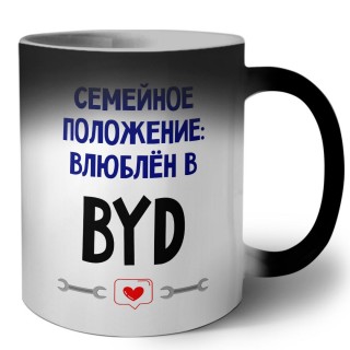 семейной пололжение - влюблен в BYD