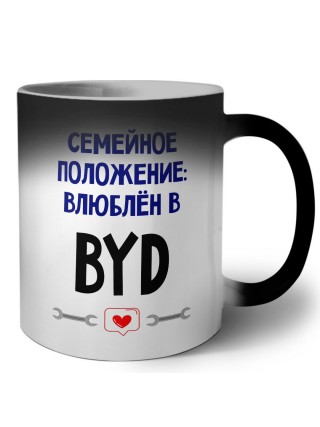 семейной пололжение - влюблен в BYD
