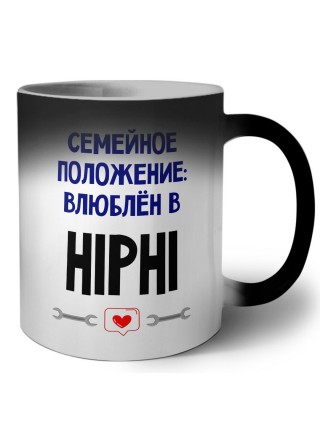 семейной пололжение - влюблен в HiPhi