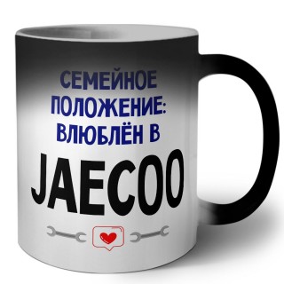 семейной пололжение - влюблен в Jaecoo