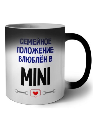 семейной пололжение - влюблен в Mini