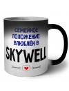 семейной пололжение - влюблен в Skywell
