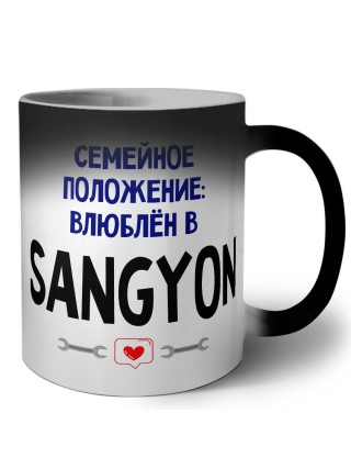 семейной пололжение - влюблен в Ssangyong