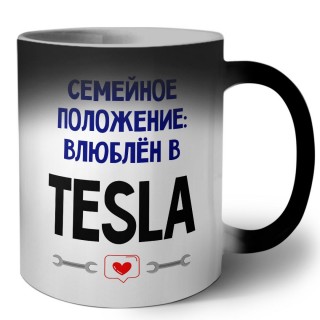 семейной пололжение - влюблен в Tesla