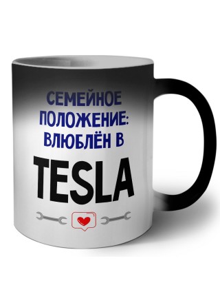 семейной пололжение - влюблен в Tesla