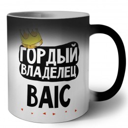 Гордый владелец BAIC