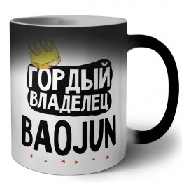 Гордый владелец Baojun