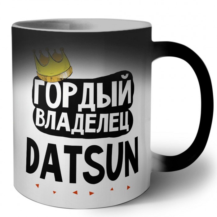 Гордый владелец Datsun