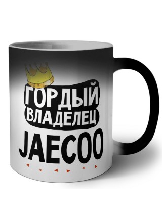 Гордый владелец Jaecoo