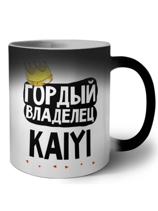 Гордый владелец Kaiyi