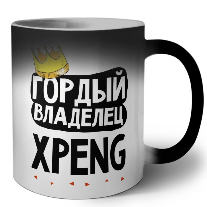 Гордый владелец Xpeng