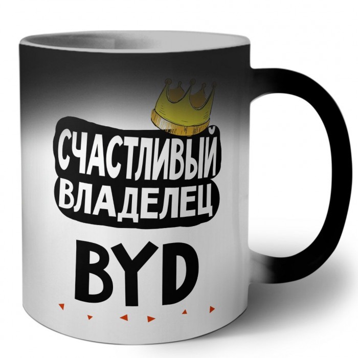 Счастливый владелец BYD