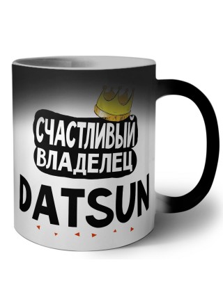 Счастливый владелец Datsun