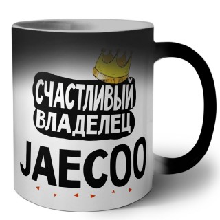 Счастливый владелец Jaecoo