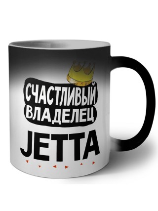 Счастливый владелец Jetta