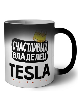 Счастливый владелец Tesla
