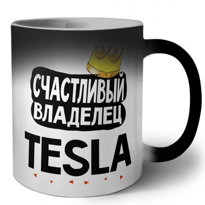 Счастливый владелец Tesla