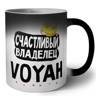 Счастливый владелец Voyah