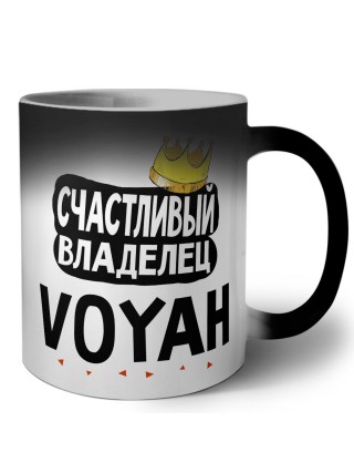 Счастливый владелец Voyah