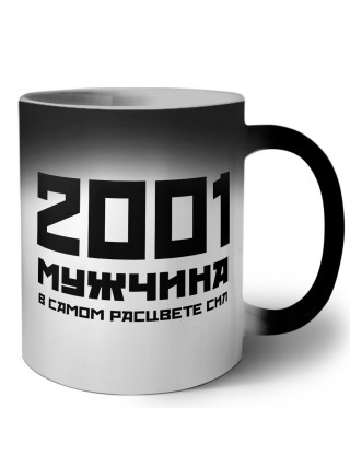 2001 мужчина в самом расцвете сил