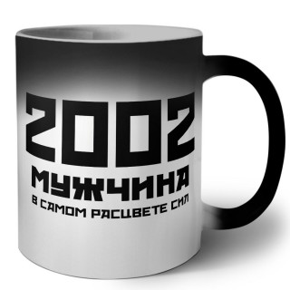 2002 мужчина в самом расцвете сил