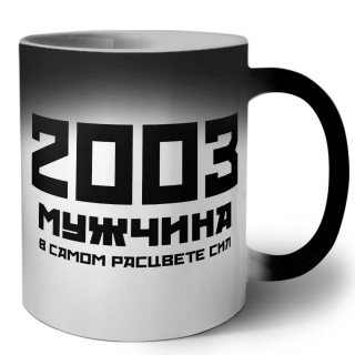 2003 мужчина в самом расцвете сил