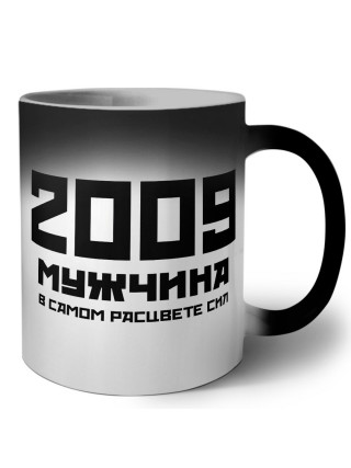 2009 мужчина в самом расцвете сил