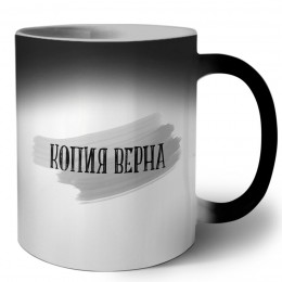 копия верна