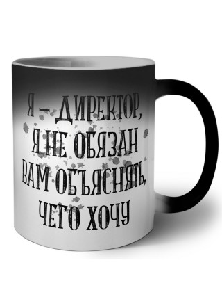 я директор я не обязан вам ничего объяснять