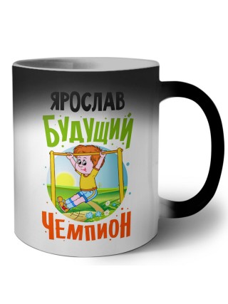 Ярослав будущий чемпион