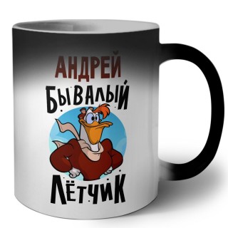 Андрей бывалый лётчик