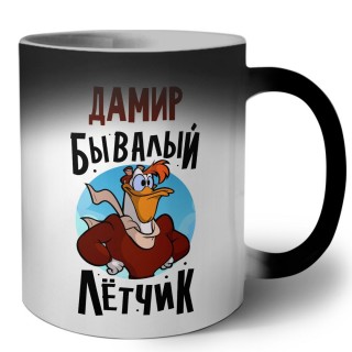 Дамир бывалый лётчик