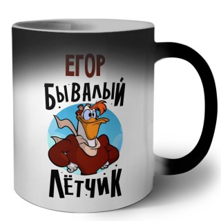 Егор бывалый лётчик