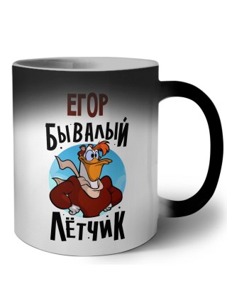 Егор бывалый лётчик