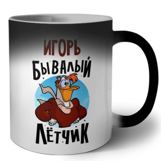 Игорь бывалый лётчик