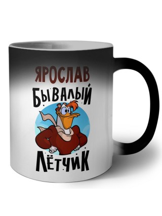 Ярослав бывалый лётчик