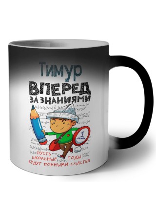 Тимур вперёд за знаниями