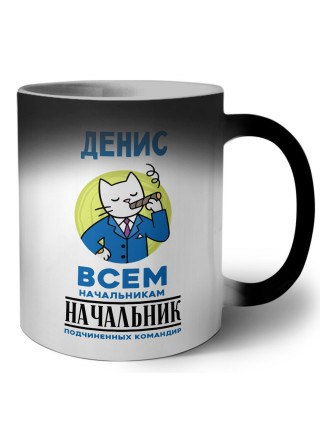 Денис всем начальникам начальник подчиненных командир